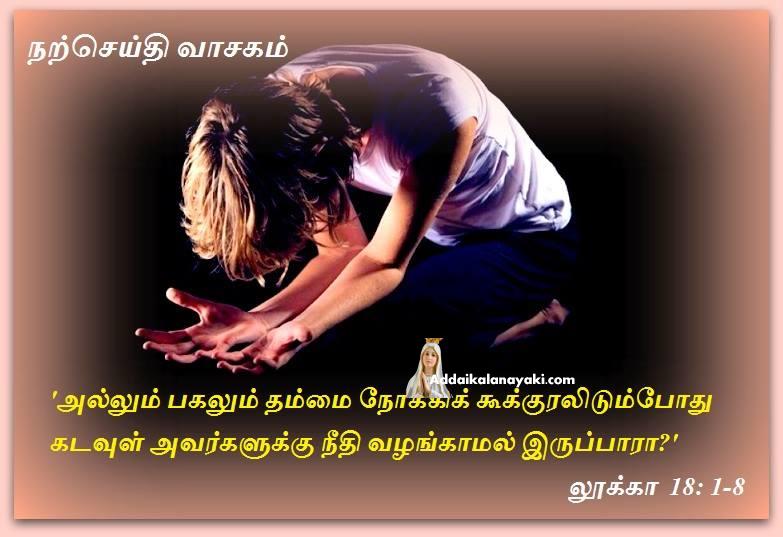 நவம்பர் 17 : நற்செய்தி வாசகம்