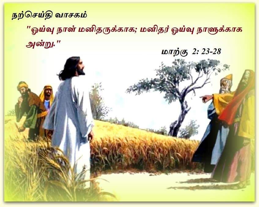 ஜனவரி 22 : நற்செய்தி வாசகம்
