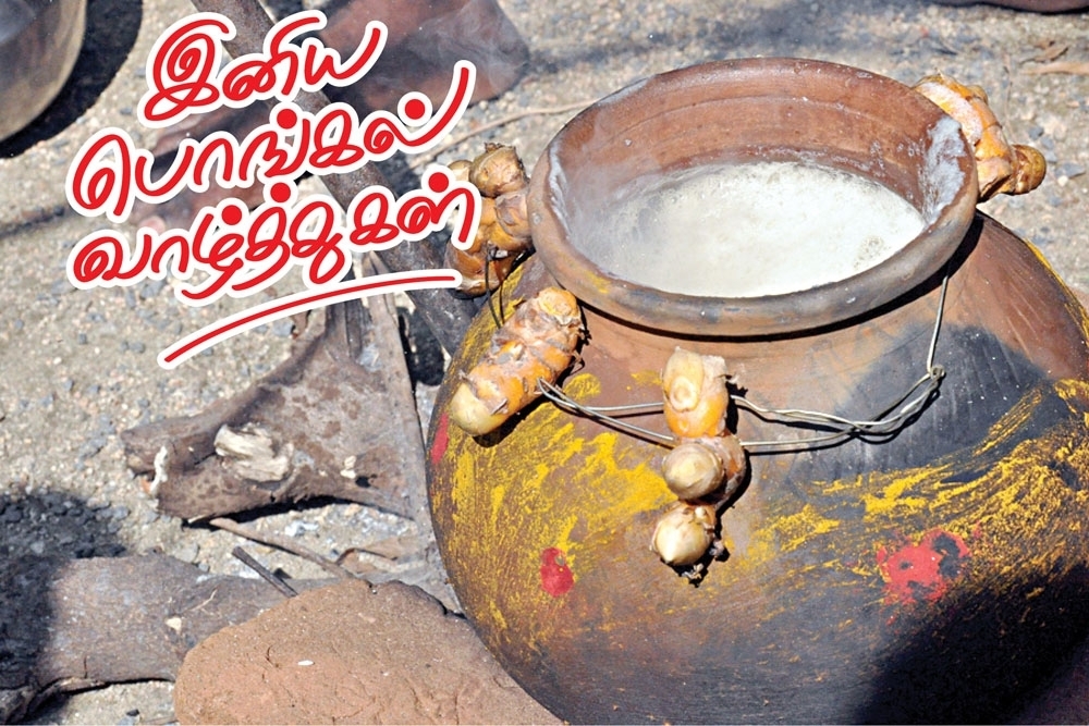 அனைவருக்கும் பொங்கல் வாழ்த்துக்கள்