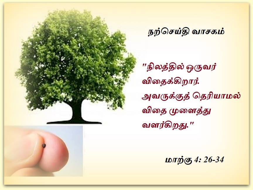 பிப்ரவரி 1 : வெள்ளிக் கிழமை.  நற்செய்தி வாசகம்