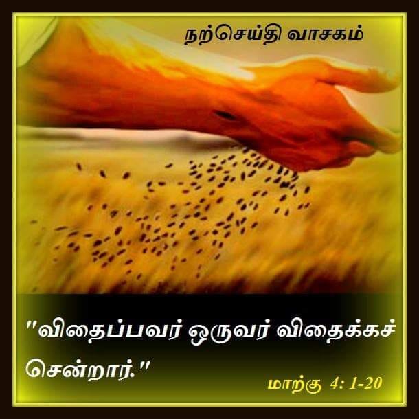 ஜனவரி 30 : நற்செய்தி வாசகம்