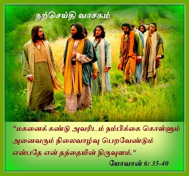 மே 8 : புதன்கிழமை.  நற்செய்தி வாசகம்.