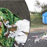 பக்தி குறைவும் இல்லாமல் தகுந்த மரியாதையோடு நற்கருணை ஆண்டவரை உட்கொள்ளுகிறோமா?