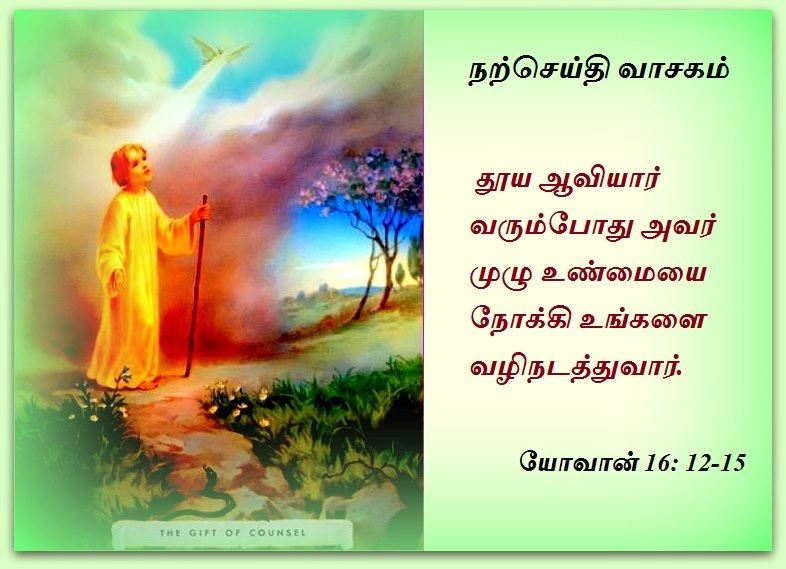ஜுன் 16 : ஞாயிற்றுக்கிழமை.  நற்செய்தி வாசகம்.
