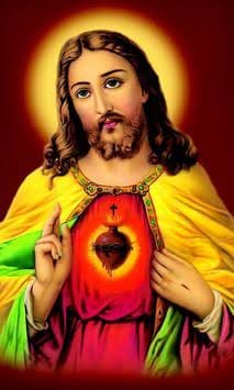 நற்செய்தி வாசக மறையுரை (ஜூலை 13)