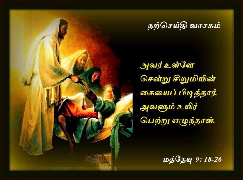 ஜூலை 8 : திங்கட்கிழமை.  நற்செய்தி வாசகம்