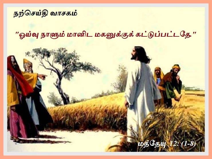 ஜூலை 19 : வெள்ளிக்கிழமை.  நற்செய்தி வாசகம்