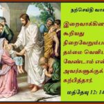 நற்செய்தி வாசக மறையுரை  (ஜூலை 20)