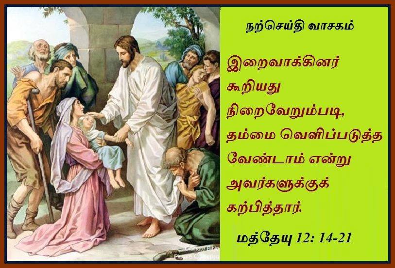 ஜூலை 20 : சனிக்கிழமை.  நற்செய்தி வாசகம்.