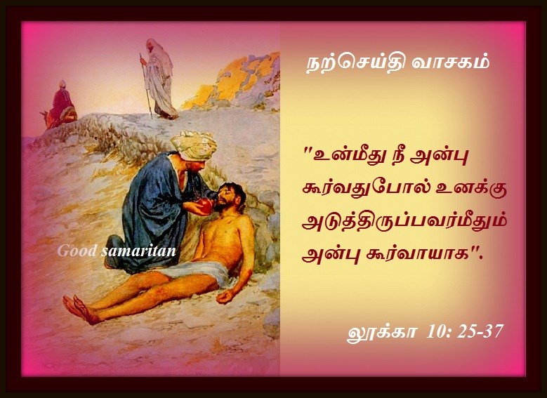 ஜூலை 14 : ஞாயிற்றுக்கிழமை.  நற்செய்தி வாசகம்