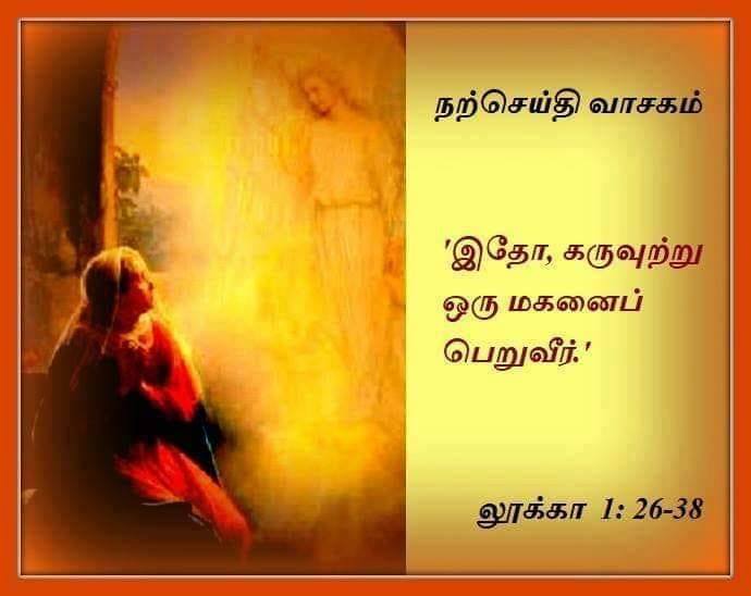 ஆகஸ்ட் 22 : வியாழக்கிழமை.  நற்செய்தி வாசகம்