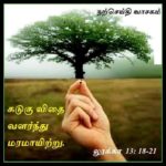 நற்செய்தி வாசக மறையுரை (அக்டோபர் 29)