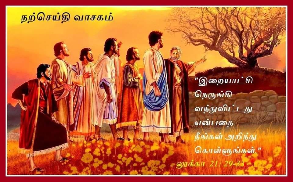நவம்பர் 29 : நற்செய்தி வாசகம்
