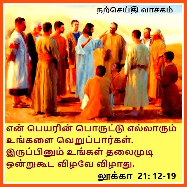 நவம்பர் 27 : புதன்கிழமை.  நற்செய்தி வாசகம்.