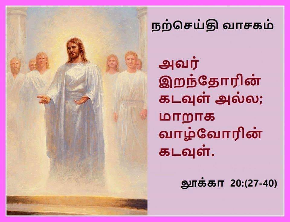நவம்பர் 23 : நற்செய்தி வாசகம்
