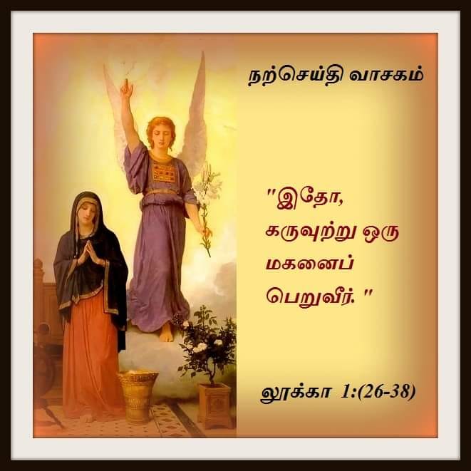 டிசம்பர் 20 : நற்செய்தி வாசகம்