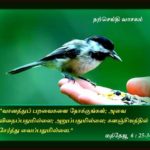 நற்செய்தியைப் பறைசாற்றுவதில் துணிவும், மகிழ்வும்