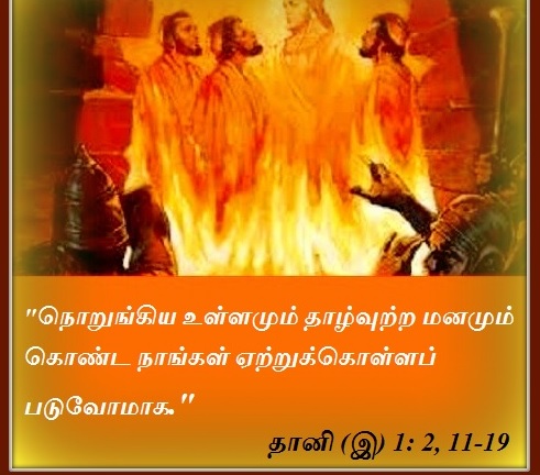 மார்ச் 19 : செவ்வாய்க்கிழமை. நற்செய்தி வாசகம்.