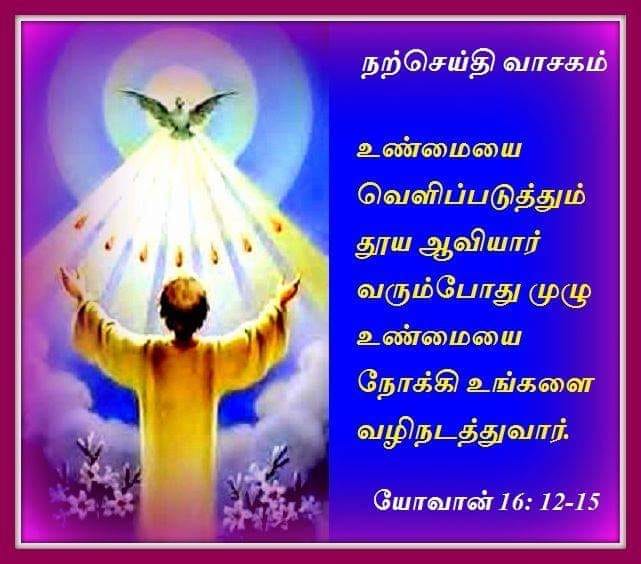 மே 20 : நற்செய்தி வாசகம்