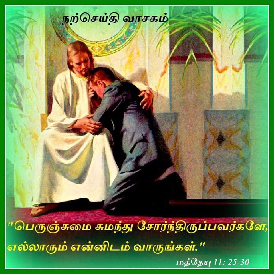 ஜுன் 19 :  நற்செய்தி வாசகம்