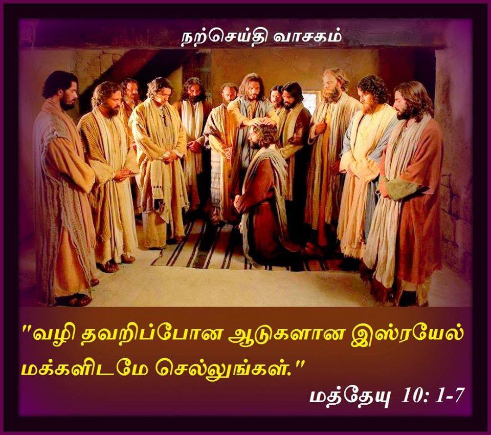 ஜூலை 8 :  நற்செய்தி வாசகம்