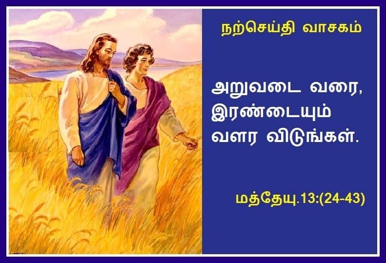 ஜூலை 19 :  நற்செய்தி வாசகம்