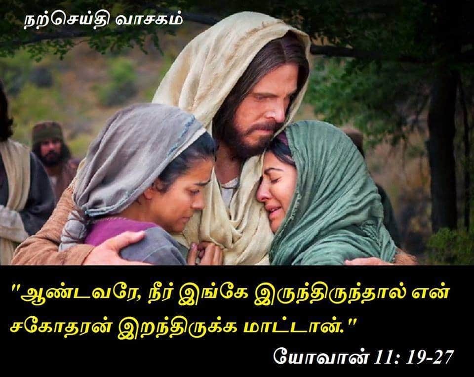 ஜூலை 29 :  நற்செய்தி வாசகம்