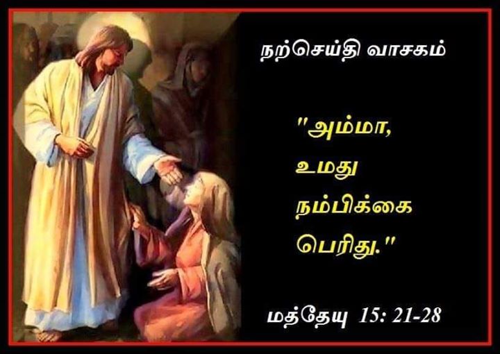 ஆகஸ்ட் 16 :  நற்செய்தி வாசகம்