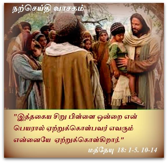ஆகஸ்ட் 11 :  நற்செய்தி வாசகம்