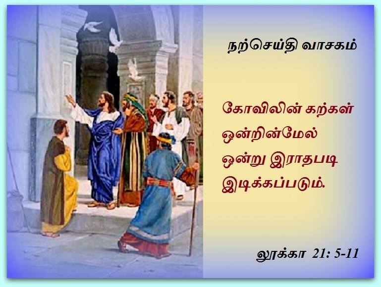 நவம்பர் 24  :   நற்செய்தி வாசகம்
