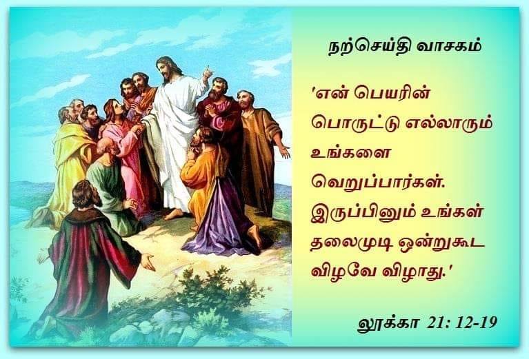நவம்பர் 25 : புதன்கிழமை. நற்செய்தி வாசகம்