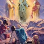 மனித உரிமைகளை பாதுகாப்பது குறித்த அர்ப்பணம்