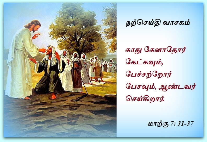 பிப்ரவரி 12  :  நற்செய்தி வாசகம்