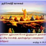 #வாசக மறையுரை  (பிப்ரவரி 06) பொதுக்காலம் நான்காம் வாரம் சனிக்கிழமை