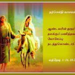 பெல்ஜிய பாப்பிறைக் கல்லூரிக்கு திருத்தந்தை வாழ்த்து