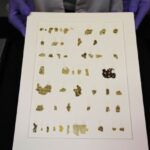 பெல்ஜிய பாப்பிறைக் கல்லூரிக்கு திருத்தந்தை வாழ்த்து