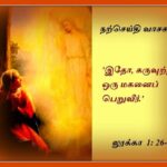 திருத்தந்தையின் புனித வார திருவழிபாட்டு நிகழ்வுகள்