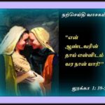 புனித கன்னி  மரியா எலிசபெத்தைச் சந்தித்தல் (மே 31)