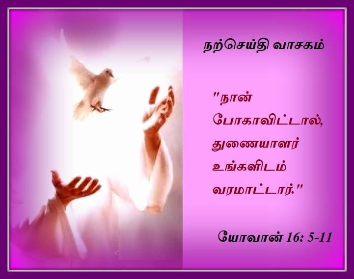 மே 11 :  நற்செய்தி வாசகம்