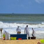 திருத்தந்தை, ஜார்ஜியா அரசுத்தலைவர் சந்திப்பு
