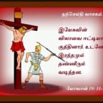 வாசக மறையுரை  (ஜூன் 11)