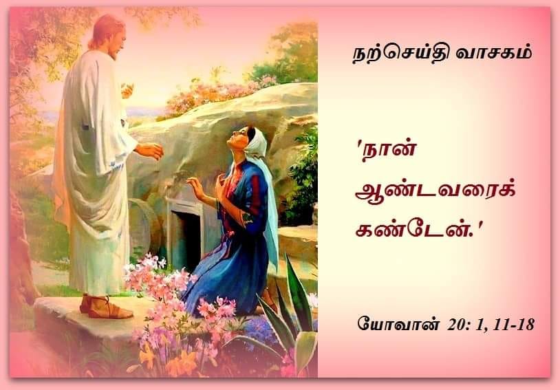 ஜூலை 22 :   நற்செய்தி வாசகம்