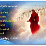 வாசக மறையுரை  (ஆகஸ்ட் 26)