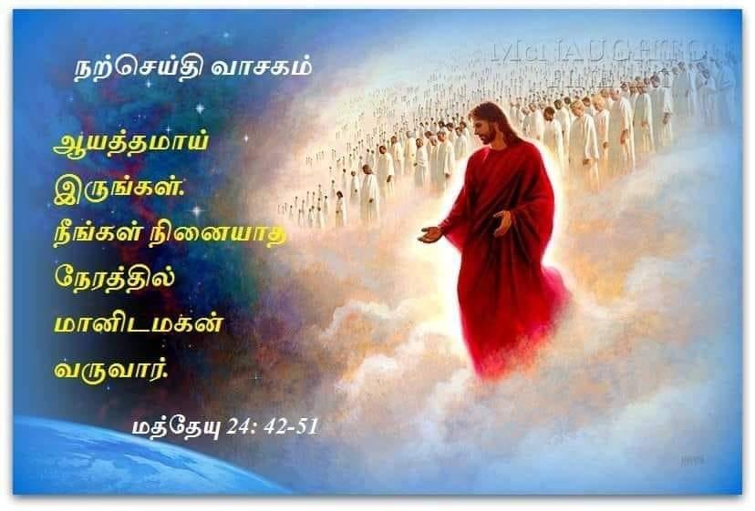 ஆகஸ்ட்  26 :  நற்செய்தி வாசகம்