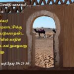 வாசக மறையுரை  (ஆகஸ்ட் 17)