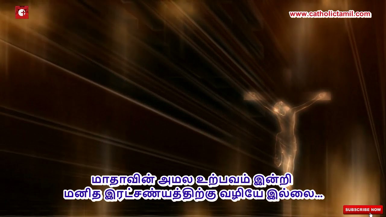டிசம்பர் 08 புனித கன்னி மரியாவின் அமல உற்பவம்