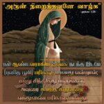 கடவுள் என்றும் நம்மோடு இருக்கிறார் என்ற உண்மையை கிறிஸ்து பிறப்பு விழா உணர்த்துகிறது