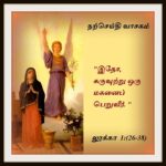† இன்றைய புனிதர்  (டிசம்பர் 20)