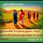 தவறு செய்யும் சகோதரர்களை கருணைப் பார்வையுடன் நோக்குங்கள்