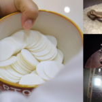 வாசக மறையுரை  (பிப்ரவரி 17)